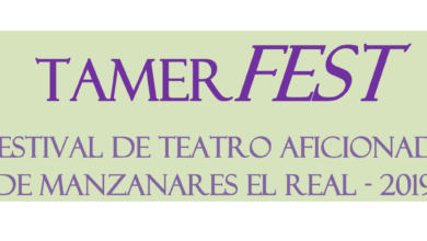 TamerFEST1